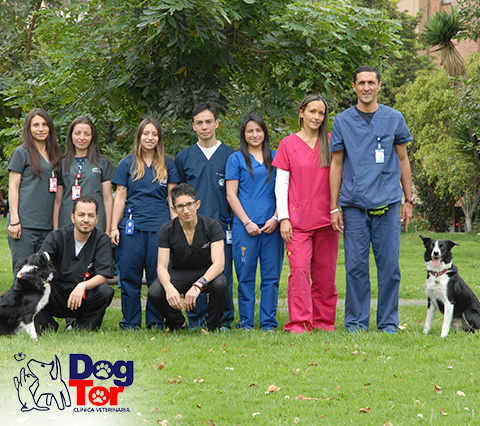 Equipo de mdicos veterinarios en Bogot