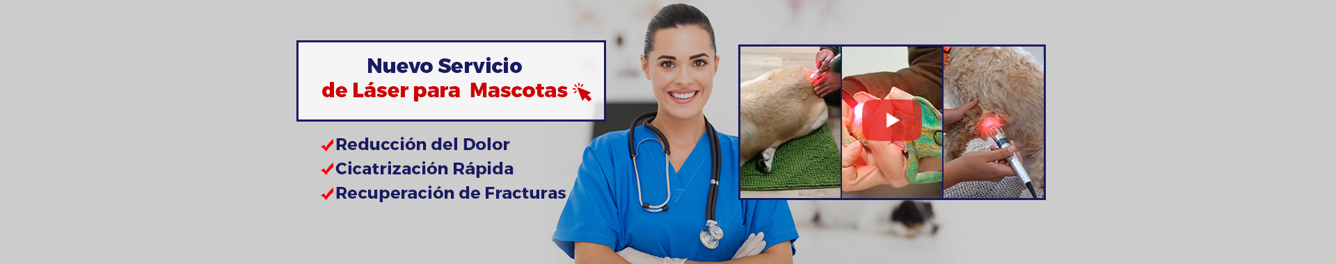 Servicio de Peluquera Para tu Mascota