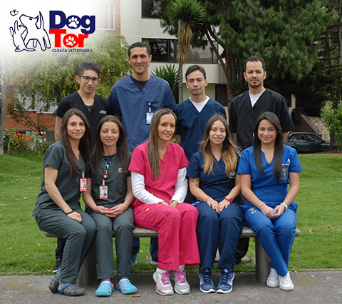 Grupo de médicos veterinarios en Bogotá
